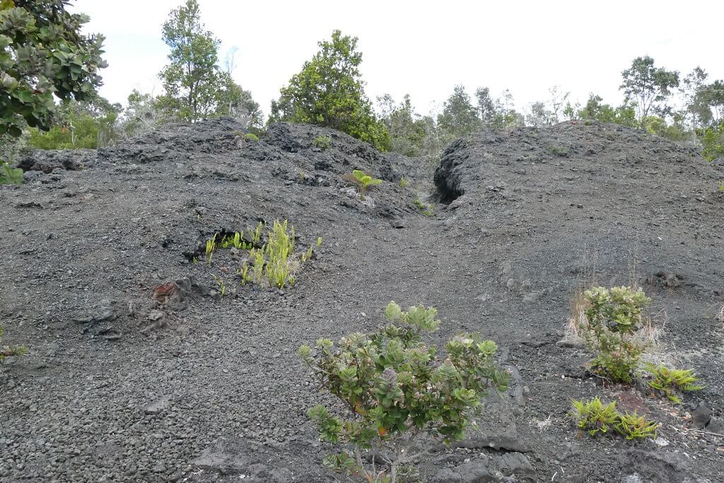 geological-surveys